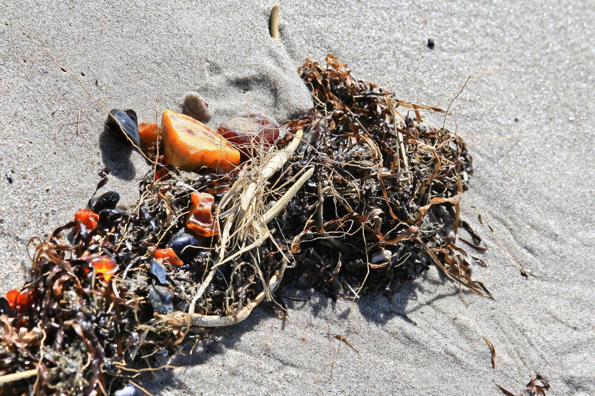 Duene-9 In Dierhagen-Strand Rum bild